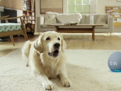 El Amazon Echo puede simular el ruido de un perro ladrando si no estás en casa