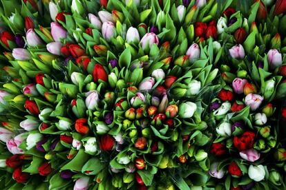 Flores son exhibidas a la venta con motivos del da de San Valentn en un mercado de flores en Viena (Austria), el 12 de febrero de 2016.