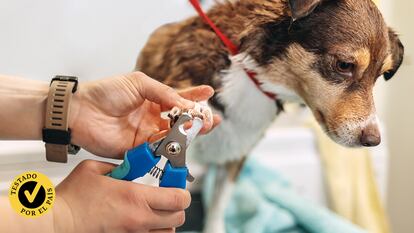 Ponemos nota a los mejores cortauñas para mascotas del mercado.