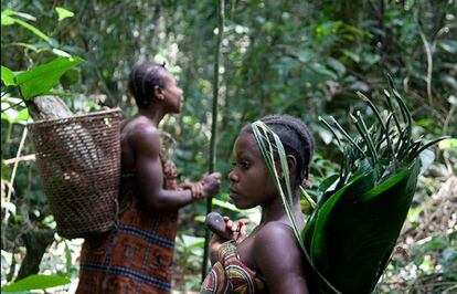 En el sudeste de Camerún los 'pigmeos' bakas están siendo expulsados de sus bosques ancestrales en nombre de la 'conservación'. Gran parte de sus tierras se han convertido en 'áreas protegidas', a las que tienen escaso o ningún acceso. Se los criminaliza por cazar para alimentarse. Los guardabosques y los soldados que los acompañan en patrullas a menudo acosan, extorsionan e incluso torturan a los bakas y a sus vecinos. El Gobierno de Camerún depende de poderosas organizaciones conservacionistas, como WWF, para aprovisionar y financiar estas patrullas antifurtivos.   "Si WWF no puede garantizar que la financiación que proporciona a las patrullas antifurtivos no están dañando a las personas, debe detener esa parte de su programa. Para que la conservación de los bosques de los bakas funcione de veras, WWF debe ayudar a proteger los derechos territoriales de este pueblo indígena y respetar su experiencia", dice Stephen Corry, director de Survival International.