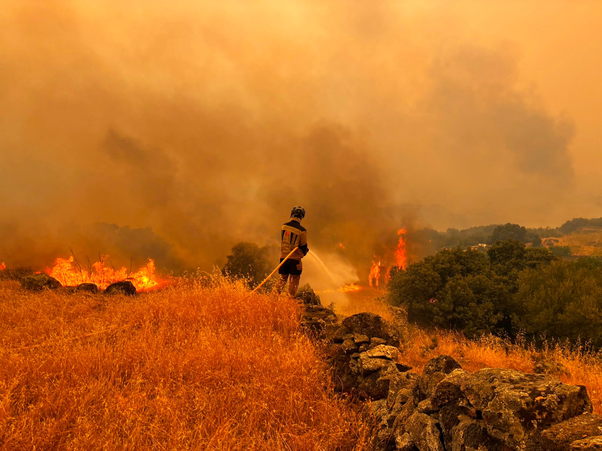 Vista del incendio forestal de Burgohondo en Cebreros (Ávila). 
