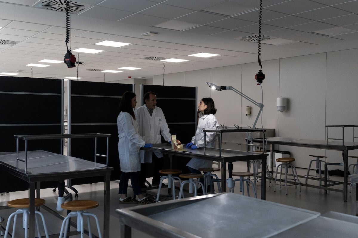 Cataluña prevé crear 700 nuevas plazas de Medicina en cinco años