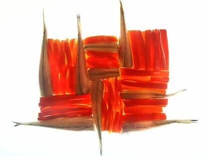 Boga al <i>mullador</i>, homenaje a la obra de Sean Scully.