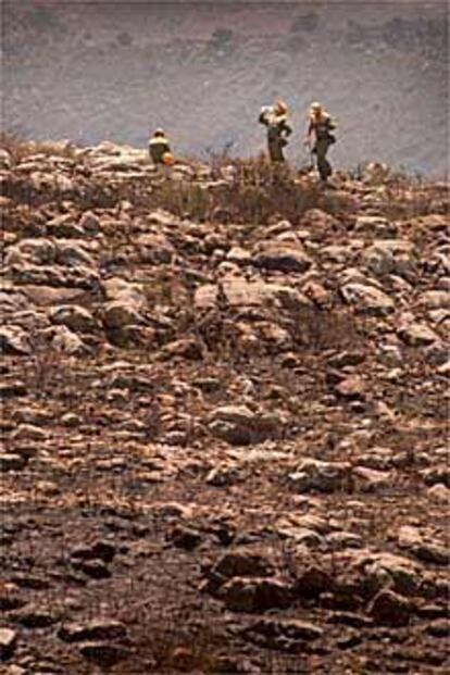 Varios agentes forestales, ayer en Villalonga.