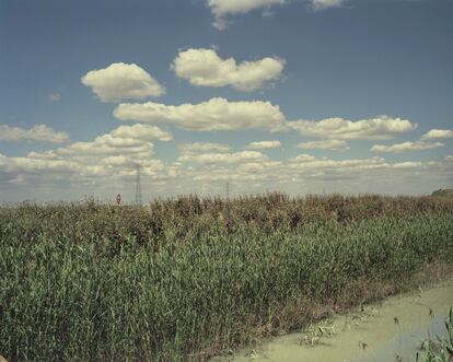 Jerez de la Frontera. Mayo 2013