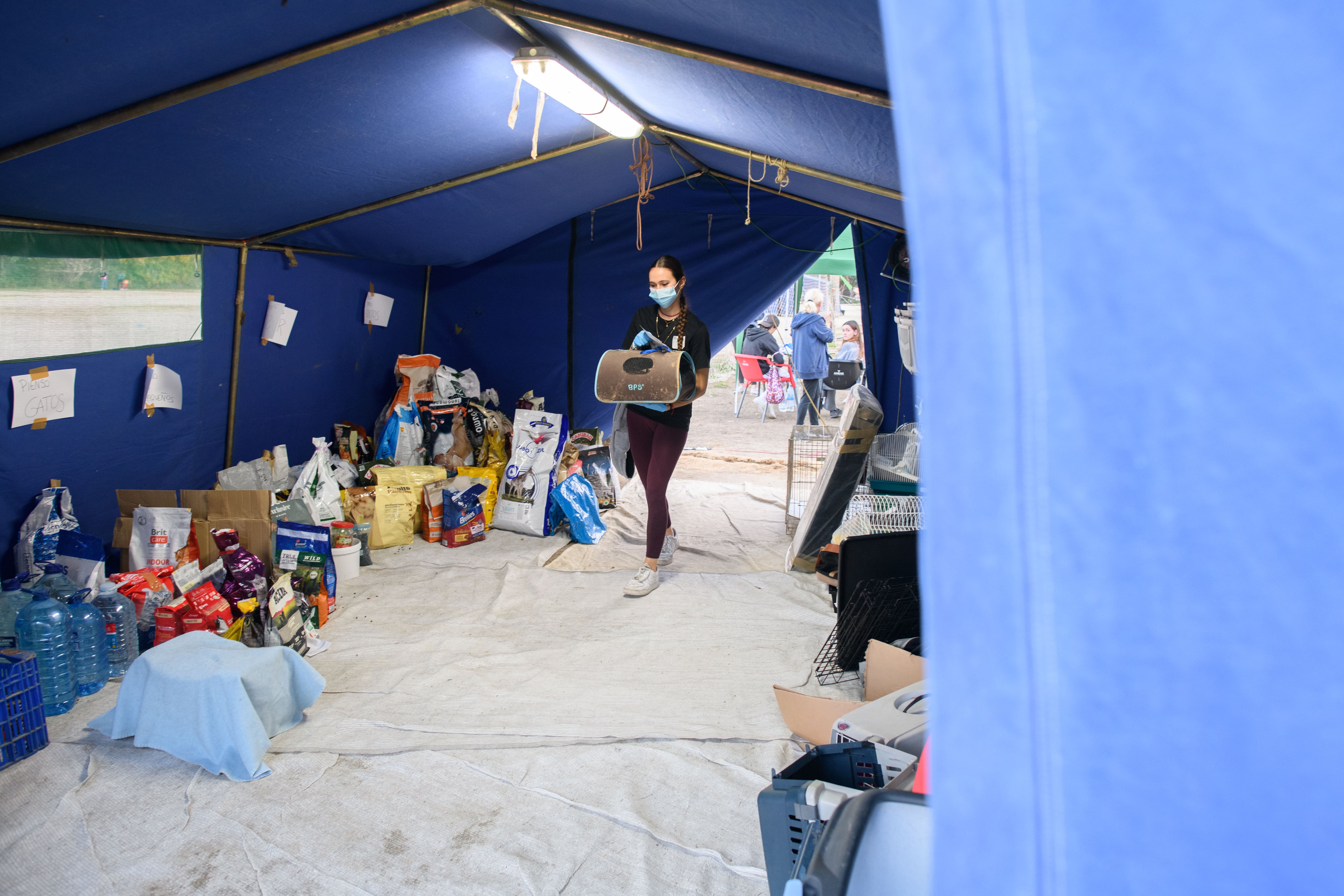 Un campamento improvisado para 300 mascotas rescatadas tras la dana