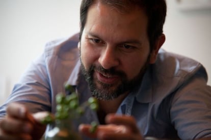 El chef Enrique Olvera, en su restaurante Pujol.