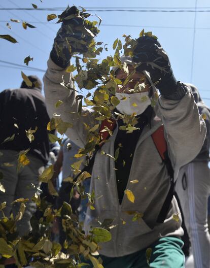 Un cocalero arroja hojas de coca tomadas del 'mercado paralelo' al aire.