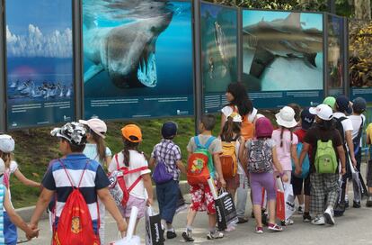 En el entorno de la feria se ha instalado una exposición sobre la fauna marina.