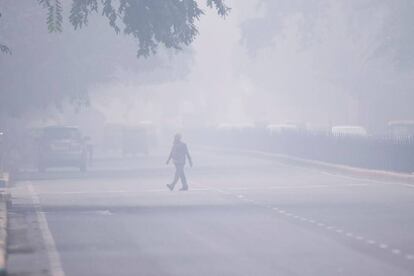 Efecto de la contaminación en una calle de Delhi.