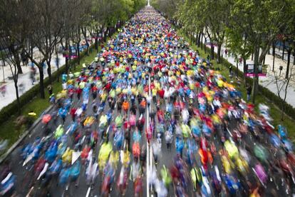 Vista general de los participantes en la Maratón de Madrid a su paso por el Paseo de la Castellana. La carrera en la que se han inscrito 26.000 corredores ha comenzado a las 9.00 horas con un recorrido de 42 kilómetros y con cuatro grados de temperatura.