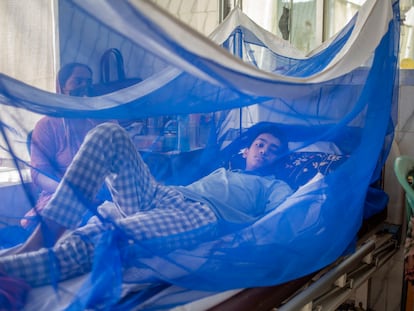 Un adolescente enfermo de dengue se recupera en un hospital de Dacca, en Bangladés, el 17 de agosto de 2021.