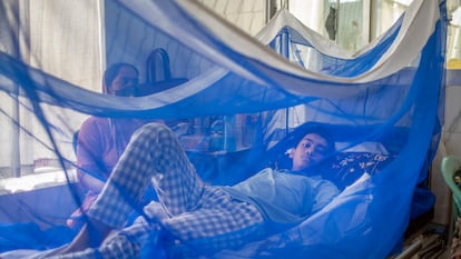 Un adolescente enfermo de dengue se recupera en un hospital de Dacca, en Bangladés, el 17 de agosto de 2021.