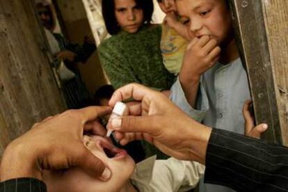 Vacunación de niños contra la poliomielitis en Kabul (Afganistán) el pasado 5 de septiembre.
/ THOMAS MUNITA