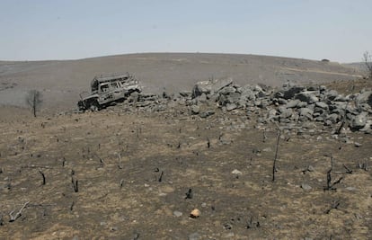 CD-158  19/07/2005   Parajes calcinados del incendio que ha acabado con más de 12.000 hectáreas de superficie forestal y ha causado 11 muertos en Guadalajara.