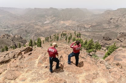 Dos técnicos del Cabildo de Gran Canaria, en las cumbres de la isla esta semana.