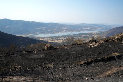 Vista de una zona arrasada por las llamas desde la carretera que une Cabezabellosa y El Torno, en el Valle del Jerte, este sábado.