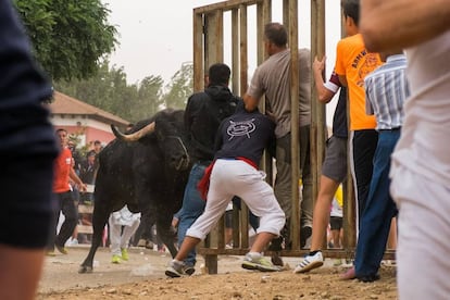 El toro carga contra un grupo de corredores durante el encierro en Tordesillas.