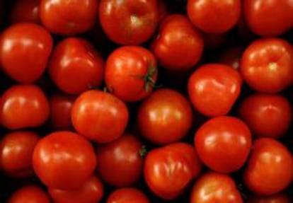 Tomates en una frutería madrileña. EFE/Archivo