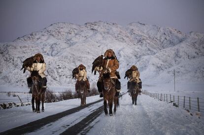 La familia Beysenbay se dirige a la zona del campeonato con sus águilas posadas en los guantes de protección de las garras de este majestuoso animal.