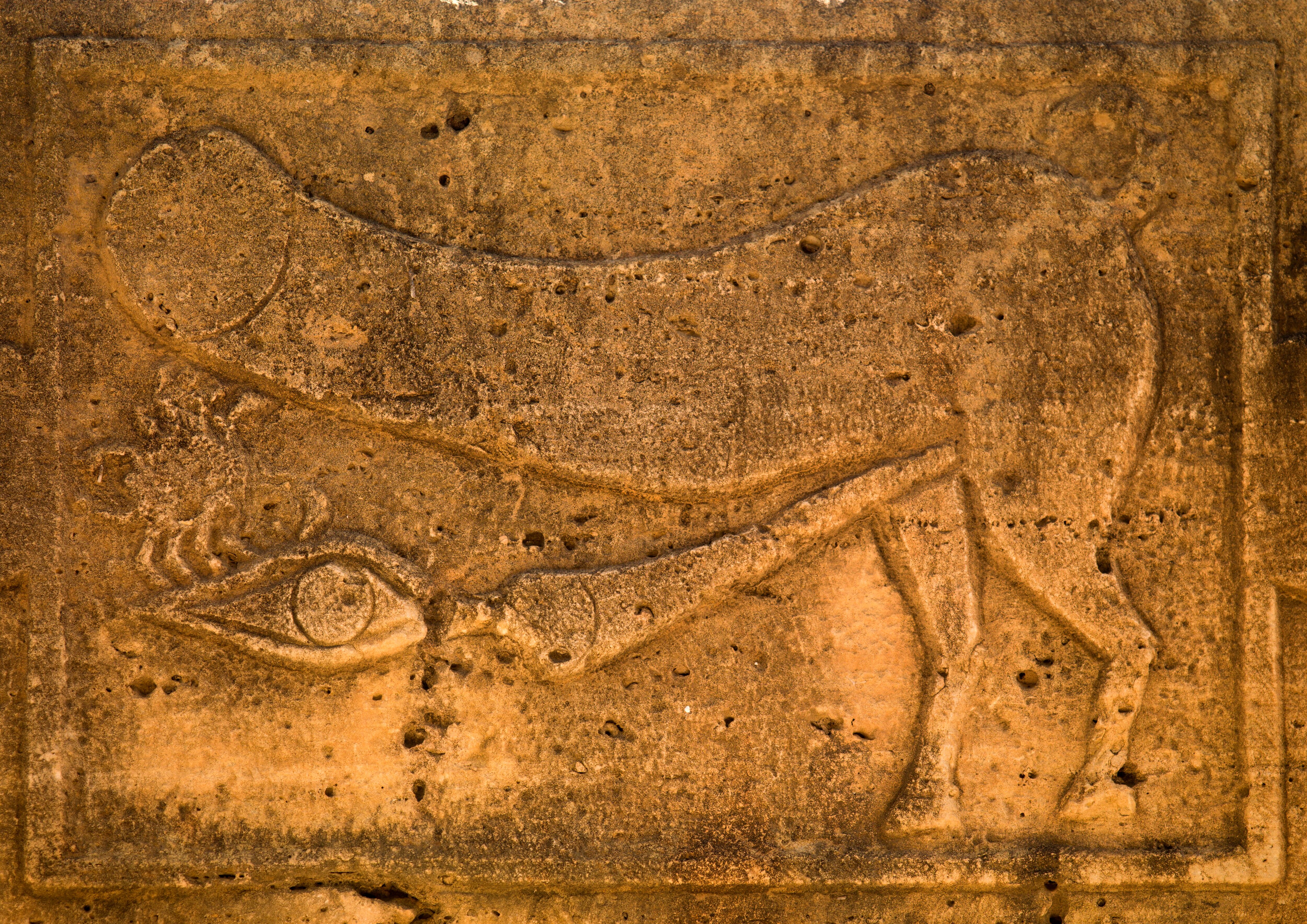 Relieve en una pared de Al Khums, Libia, que demuestra la fijación de los romanos con el falo como elemento protector.