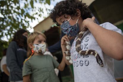 Salvador Mengual y Gonzalo Velasco, con una de las serpientes que se pueden ver en la granja escuela.