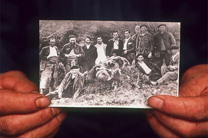 Los cazadores diezmaron durante décadas la población osera. El mítico Garrido mató 99 ejemplares.