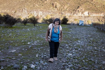 Zoila Quiroz camina por el terreno que rodea su casa en Petorca (Chile).