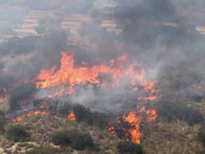 Un hidroavión lanza agua sobre el incendio de Campo Real.