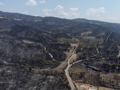 Colinas quemadas por uno de los incendios forestales de la isla griega de Eubea, el día 12.