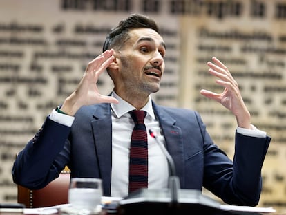 El secretario de Estado de Seguridad, Rafael Pérez, este octubre en la comisión del Senado sobre el 'caso Ábalos'.
