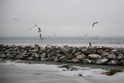 La platja de Barcelona durant la nevada d'aquest dijous.