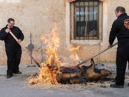 Dos amigos en una matanza en Cantalejo (Segovia).