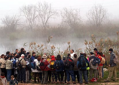 La niebla acompañó ayer a primera hora la visita guiada por el marjal y los yacimientos de Almenara.