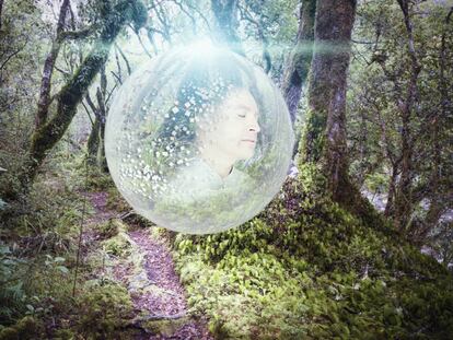 Una «cápsula» para el medio digital