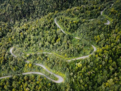 Un tramo de la carretera Austral en el parque nacional Queulat, en Chile. 