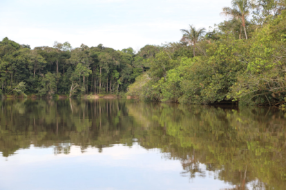 Proyecto de Conservación de la Amazonia Colombiana.