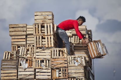 Un trabajador acomoda cajas de madera, también conocidos como huacales (la palabra proviene del náhuatl 'huacalli': jaula o cesta hecha de carrizo para transportar víveres, que se utilizaban desde la época prehispánica).