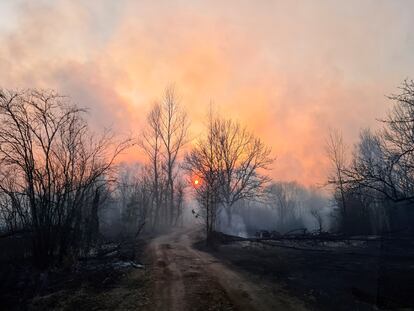 Las llamas han devorado el bosque en una parte de la zona de exclusión alrededor de la central de Chernóbil (Ucrania), este domingo.