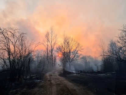 Las llamas han devorado el bosque en una parte de la zona de exclusión alrededor de la central de Chernóbil (Ucrania), este domingo.