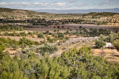 Vista de una parte del llano de Brihuela, en Chiva, donde se proyecta una planta fotovoltaica.