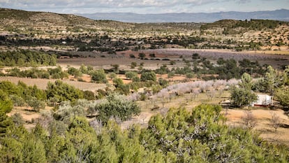 Vista de una parte del llano de Brihuela, en Chiva, donde se proyecta una planta fotovoltaica.