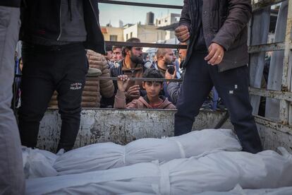 Un niño observa los cuerpos de palestinos asesinados por el Ejército israelí, el 15 de enero en Deir al-Balah, en la Franja de Gaza. 