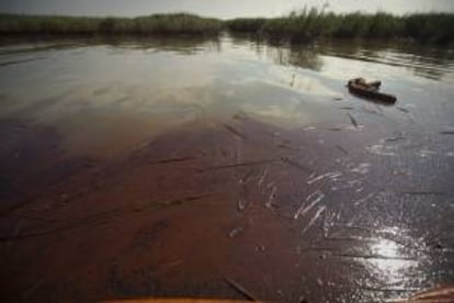 El derrame contaminó inicialmente el río Coca, un afluente del Napo, pero parte de la mancha ya avanzó por este afluente del Amazonas hacia territorio peruano. EFE/Archivo