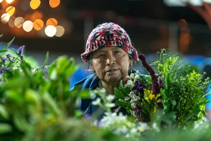 Norma Juiña, de 45 años, trabaja en la plataforma Primero de Mayo y es profunda conocedora de las plantas medicinales.
