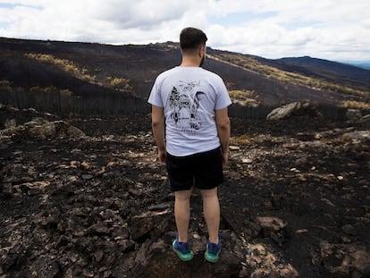 Una persona observa los daños provocados por el incendio forestal en la Sierra de la Culebra, en Villardeciervos.