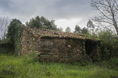 La hojarasca y la soledad crecen entre las paredes de piedra de esta casa campesina en Abegondo.