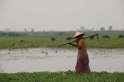 Cultivo de hortalizas a orillas del lago Indawgyi, en el Estado de Kachin (Myanmar). El informe resalta que estos cambios afectarán más a las personas con menos recursos de la región. De los 250 millones de habitantes que viven en las montañas, aproximadamente un tercio subsiste con menos de 1,9 dólares al día. Un 30% de toda la población no tiene lo suficiente para comer, y alrededor del 50% padece algún tipo de desnutrición. Los niños y las mujeres son los más afectados.