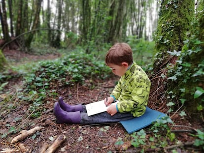 Un niño dibuja en una actividad de la escuela-bosque Nenea, en Lugo