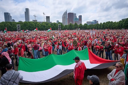 Una manifestación propalestina en La Haya, el pasado 18 de mayo.
